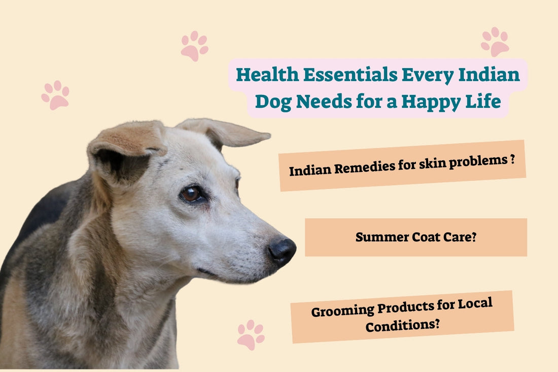 Top 5 Health Essentials Every Indian Dog Needs for a Happy Life