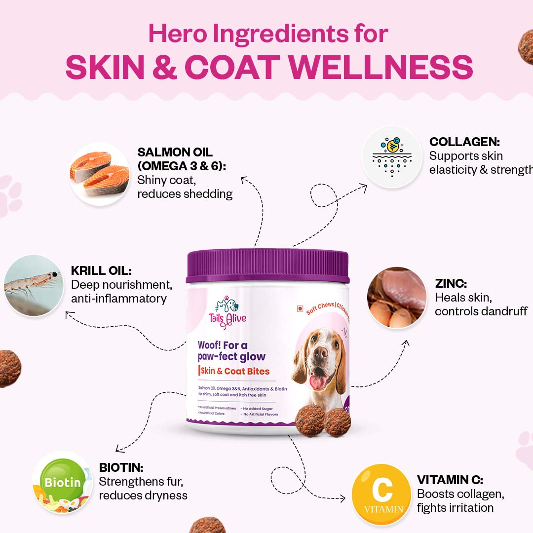 Tails Alive Probiotic + Skin & Coat Soft Chew Supplements Combo for Dogs | Chicken Flavor | Supports Gut Health & Promotes Healthy Skin