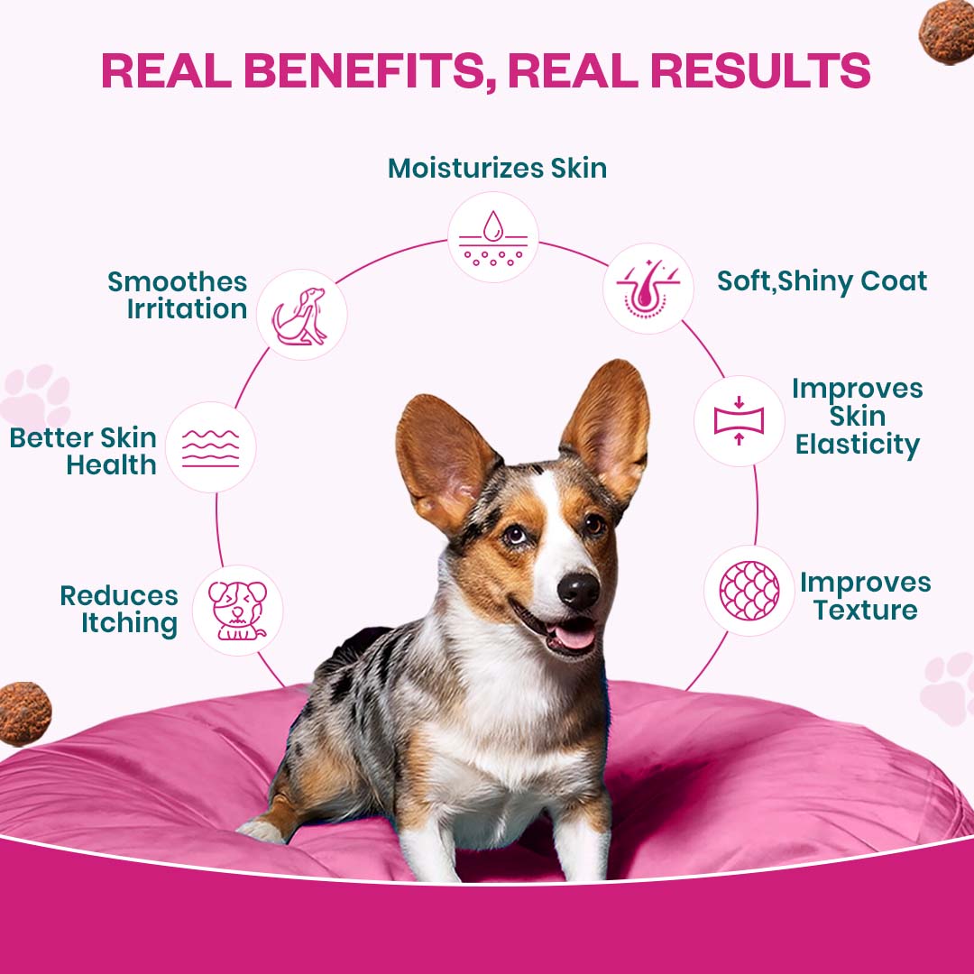 Skin & Coat Soft Chew Supplement for Dogs | Chicken Flavour | For Shiny and Healthy Coat