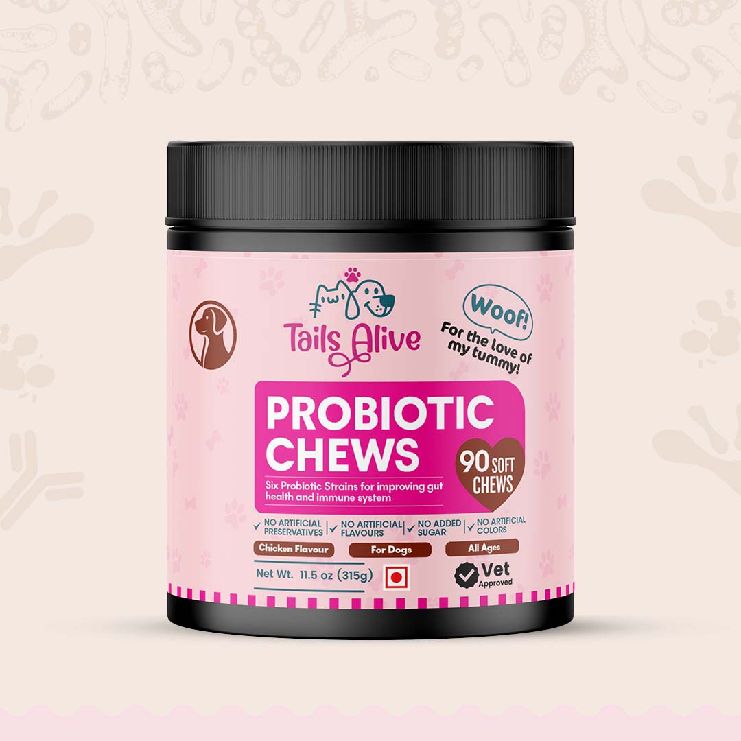 Probiotic Soft Chews Supplement for Dogs | Chicken Flavor | For Gut Health & Digestion