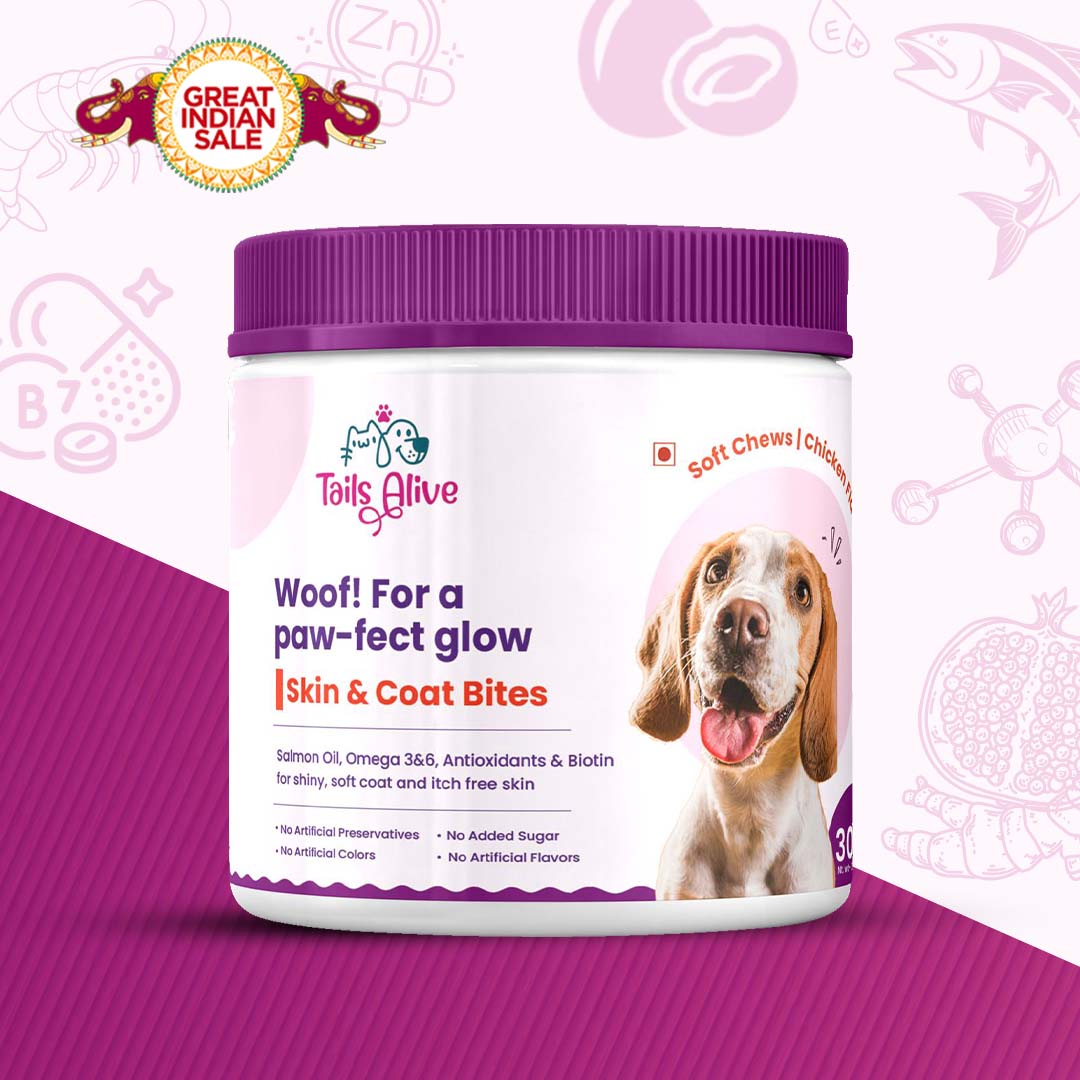 Skin & Coat Soft Chew Supplement for Dogs | Chicken Flavour | For Shiny and Healthy Coat