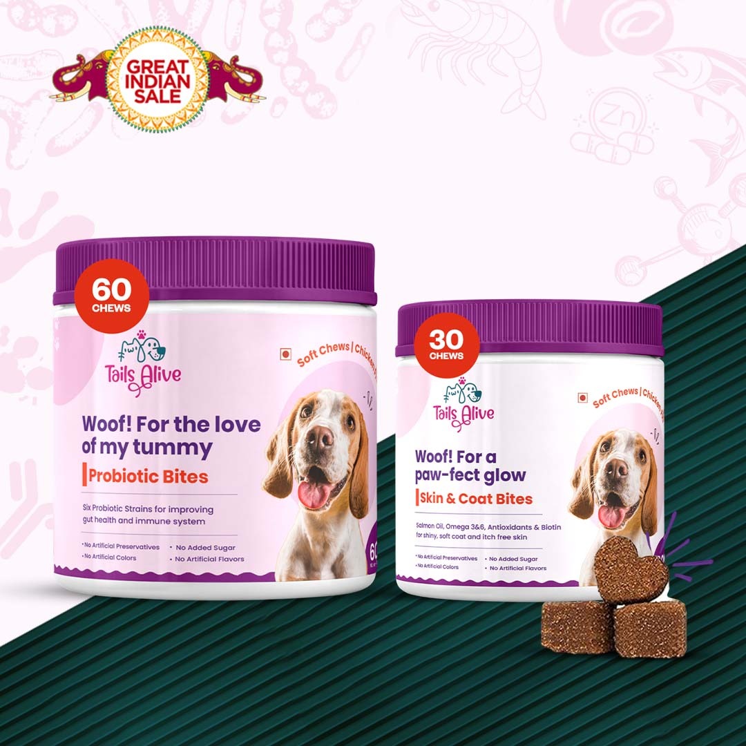 Tails Alive Probiotic + Skin & Coat Soft Chew Supplements Combo for Dogs | Chicken Flavor | Supports Gut Health & Promotes Healthy Skin