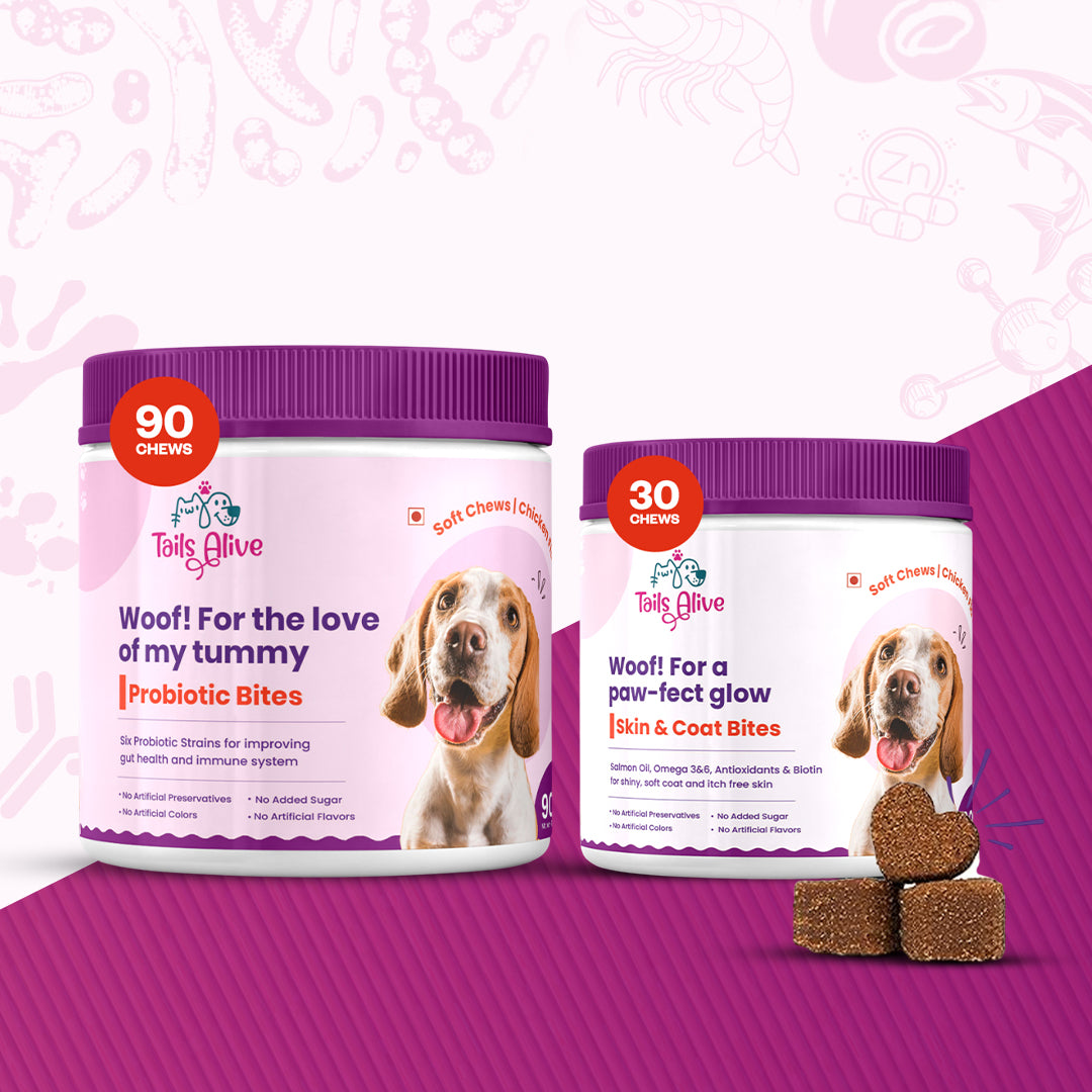 Tails Alive Probiotic + Skin & Coat Soft Chew Supplements Combo for Dogs | Chicken Flavor | Supports Gut Health & Promotes Healthy Skin