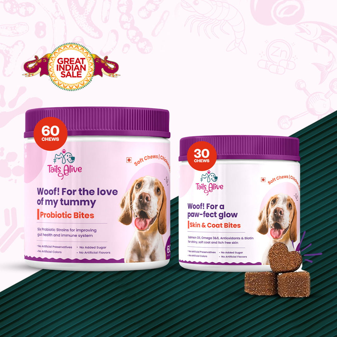 Tails Alive Probiotic + Skin & Coat Soft Chew Supplements Combo for Dogs | Chicken Flavor | Supports Gut Health & Promotes Healthy Skin