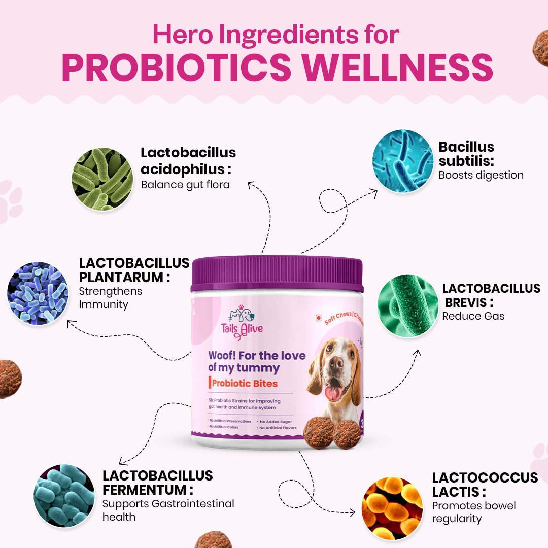 Probiotic Soft Chew Supplement for Dogs | Chicken Flavor | For Gut Health & Digestion