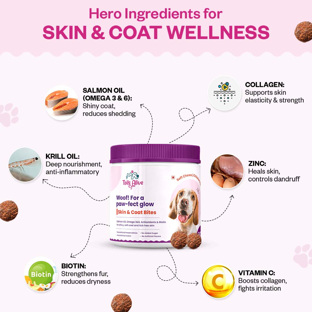 Skin & Coat Soft Chew Supplement for Dogs | Chicken Flavour | For Shiny and Healthy Coat