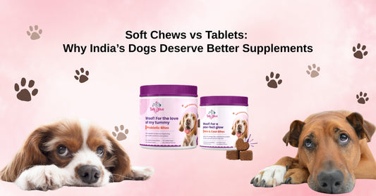 Soft Chews vs Tablets: Why India’s Dogs Deserve Better Supplements