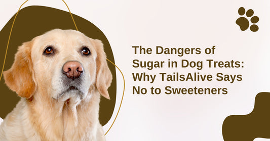 The Dangers of Sugar in Dog Treats: Why TailsAlive Says No to Sweeteners