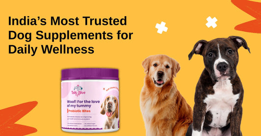 TailsAlive: Dog Pet Care Products That Work From Inside Out
