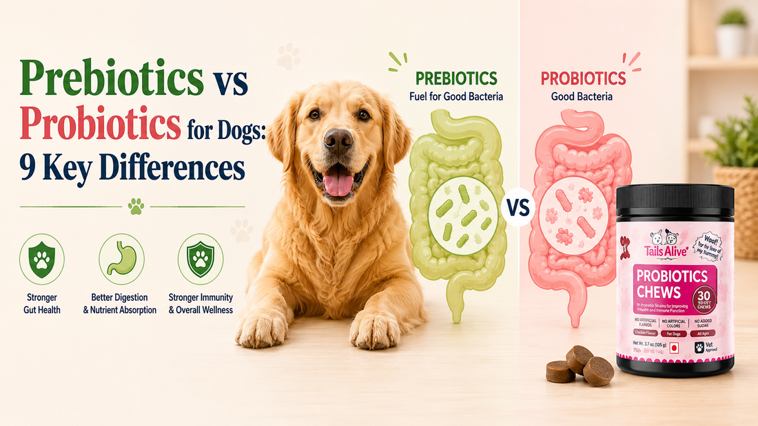prebiotics vs probiotics for dogs