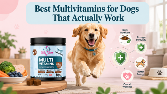 multivitamin for dogs