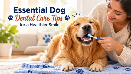 Essential Dog Dental Care Tips for a Healthier Smile