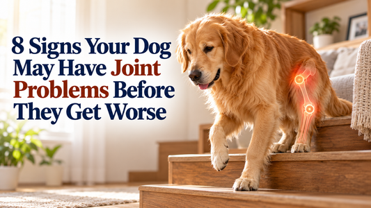Signs of joint problems in dogs 