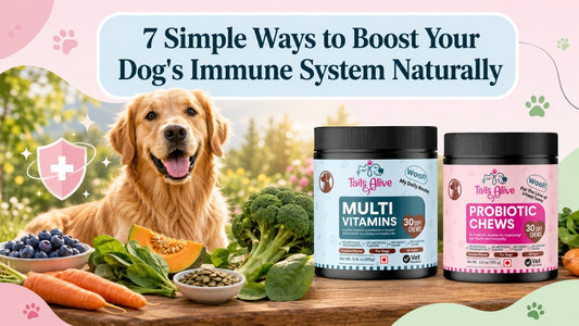 dog's immune system