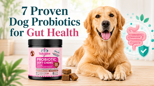 dog probiotics for gut health