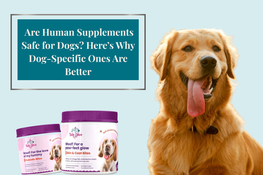 Are Human Supplements Safe for Dogs? Here’s Why Dog-Specific Ones Are Better
