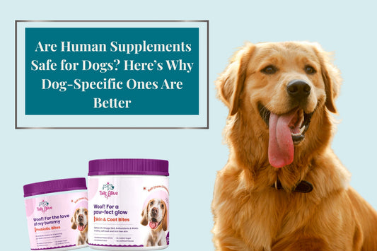 Are Human Supplements Safe for Dogs? Here’s Why Dog-Specific Ones Are Better