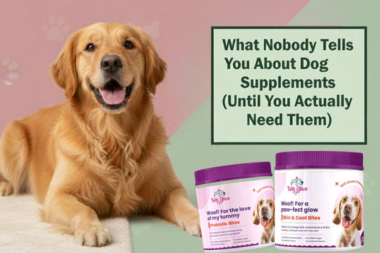 What Nobody Tells You About Dog Supplements (Until You Actually Need Them)