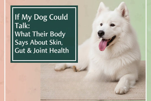 If My Dog Could Talk: What Their Body Says About Skin, Gut & Joint Health