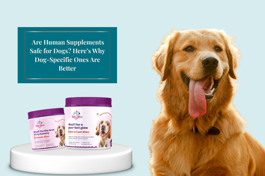 Why Dog-Specific Supplements Matter | TailsAlive