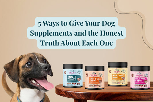 5 Ways to Give Your Dog Supplements and the Honest Truth About Each One