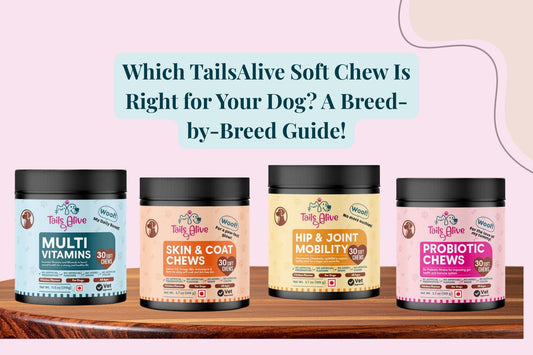 Which Tails Alive Soft Chew Is Right for Your Dog? A Breed-by-Breed Guide!