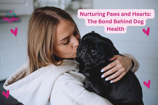 Nurturing Paws and Hearts: The Bond Behind Dog Health