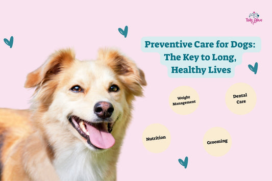 Preventive Care for Dogs: The Key to Long, Healthy Lives