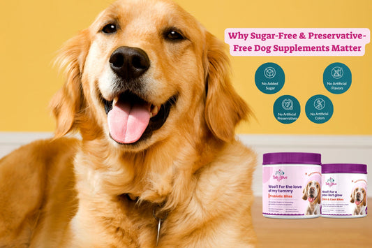Why Sugar-Free & Preservative-Free Dog Supplements Matter