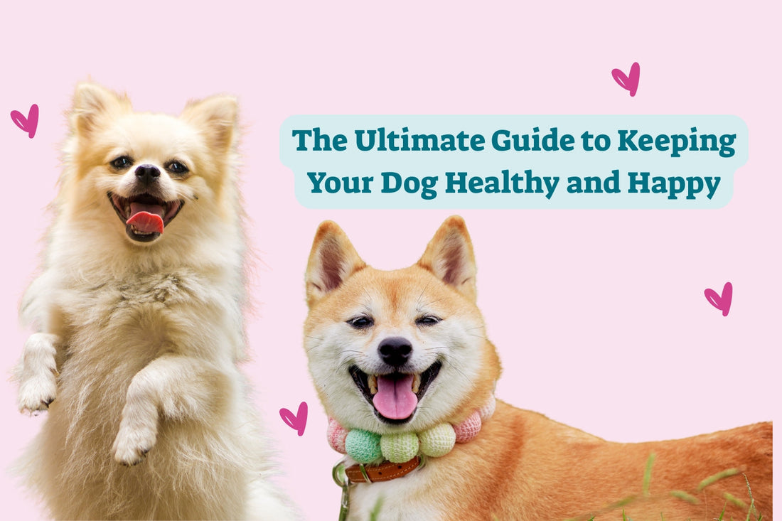 The Ultimate Guide to Keeping Your Dog Healthy and Happy