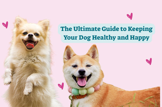 The Ultimate Guide to Keeping Your Dog Healthy and Happy