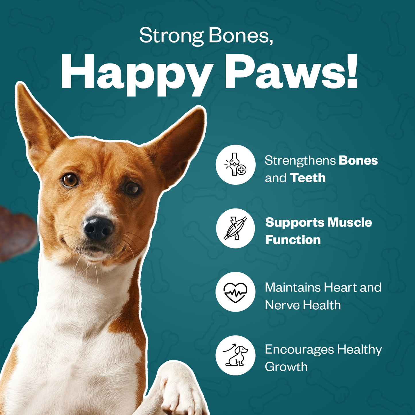 TailsAlive Calcium Soft Chew Supplement for Dogs | Chicken Flavor| For Strong Teeth & Bones