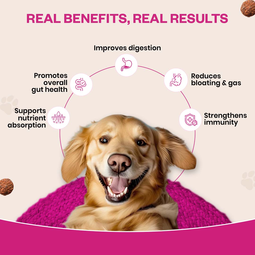 Probiotic Soft Chews Supplement for Dogs | Chicken Flavor | For Gut Health & Digestion