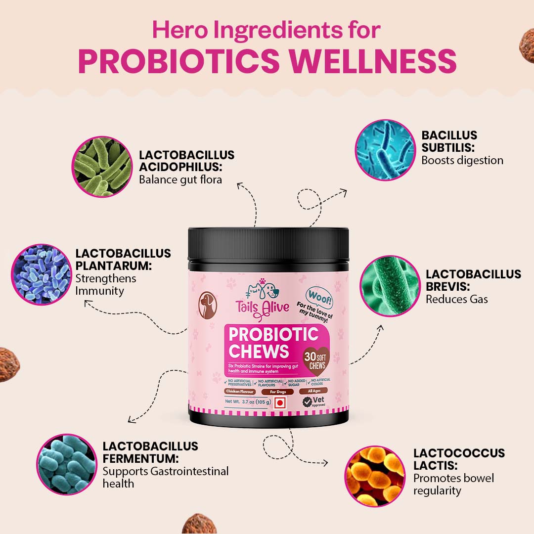 Probiotic Soft Chews Supplement for Dogs | Chicken Flavor | For Gut Health & Digestion