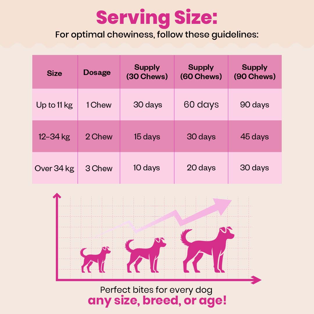 Probiotic Soft Chews Supplement for Dogs | Chicken Flavor | For Gut Health & Digestion