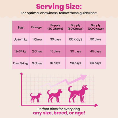 Probiotic Soft Chews Supplement for Dogs | Chicken Flavor | For Gut Health & Digestion