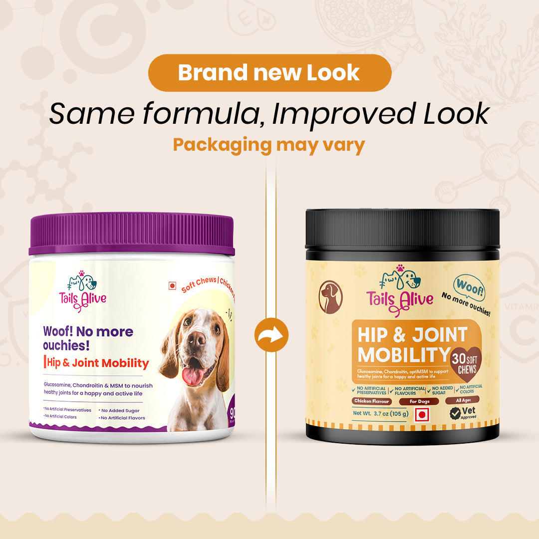 NEW! ActivPhy Hip + Joint Mobility Promotes Healthy Joints Small NEW! ActivPhy Hip + Joint Mobility Promotes Healthy Joints Small