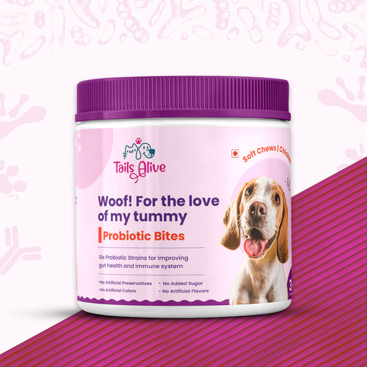 Probiotic Soft Chew Supplement for Dogs | Chicken Flavor | For Gut Health & Digestion