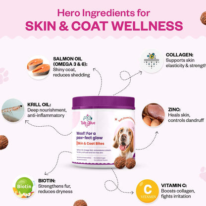 Tails Alive Probiotic + Skin & Coat Soft Chew Supplements Combo for Dogs | Chicken Flavor | Supports Gut Health & Promotes Healthy Skin