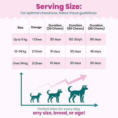 Probiotic Soft Chew Supplement for Dogs | Chicken Flavor | For Gut Health & Digestion