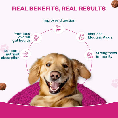 Probiotic Soft Chew Supplement for Dogs | Chicken Flavor | For Gut Health & Digestion