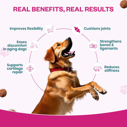 Hip & Joint Soft Chew Supplement for Dogs |   Chicken Flavor | For Mobility & Flexibility