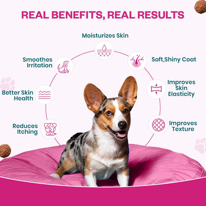 Skin & Coat Soft Chew Supplement for Dogs | Chicken Flavour | For Shiny and Healthy Coat