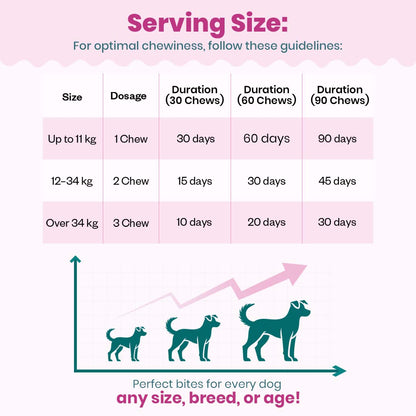 Hip & Joint Soft Chew Supplement for Dogs |   Chicken Flavor | For Mobility & Flexibility