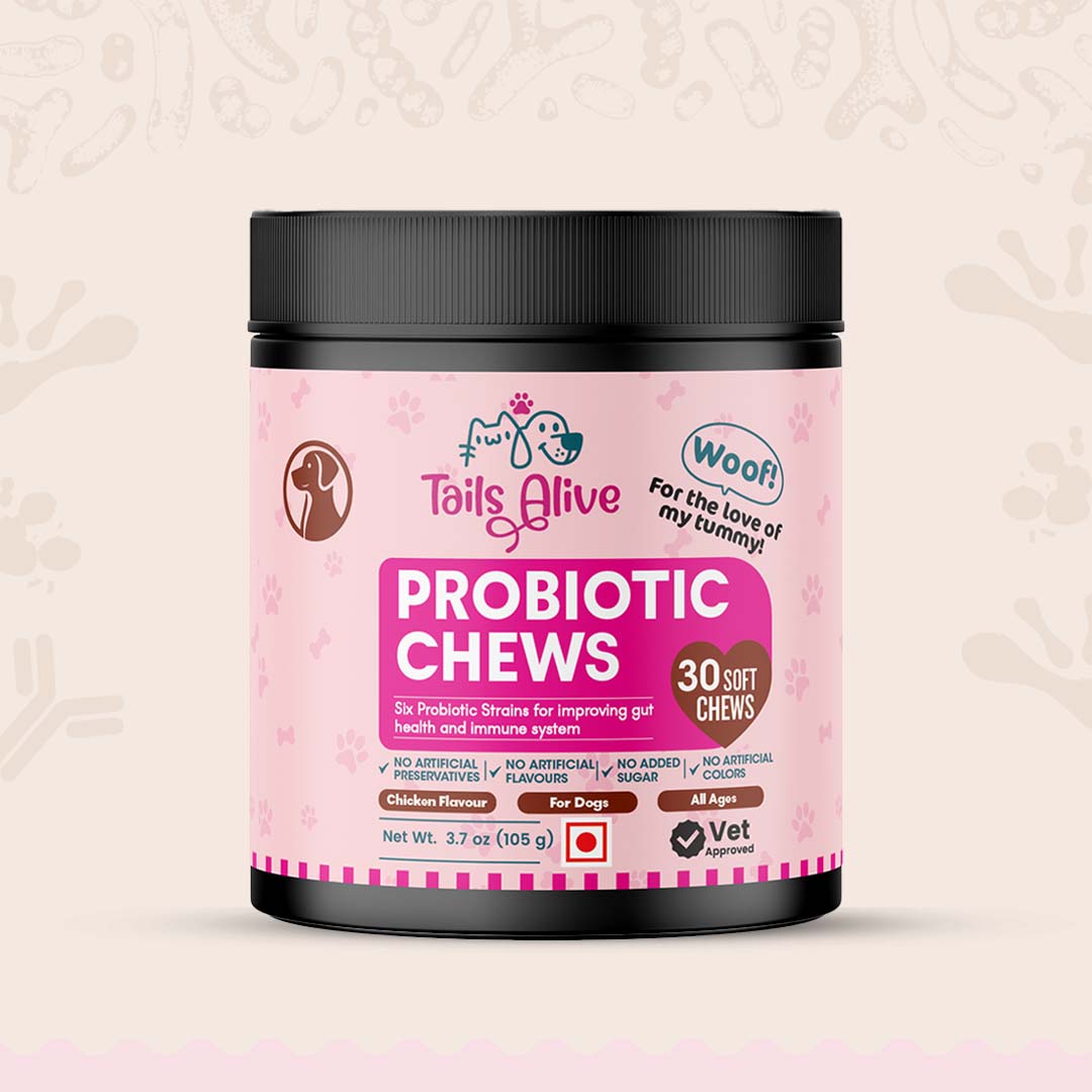 Probiotic Soft Chews Supplement for Dogs | Chicken Flavor | For Gut Health & Digestion