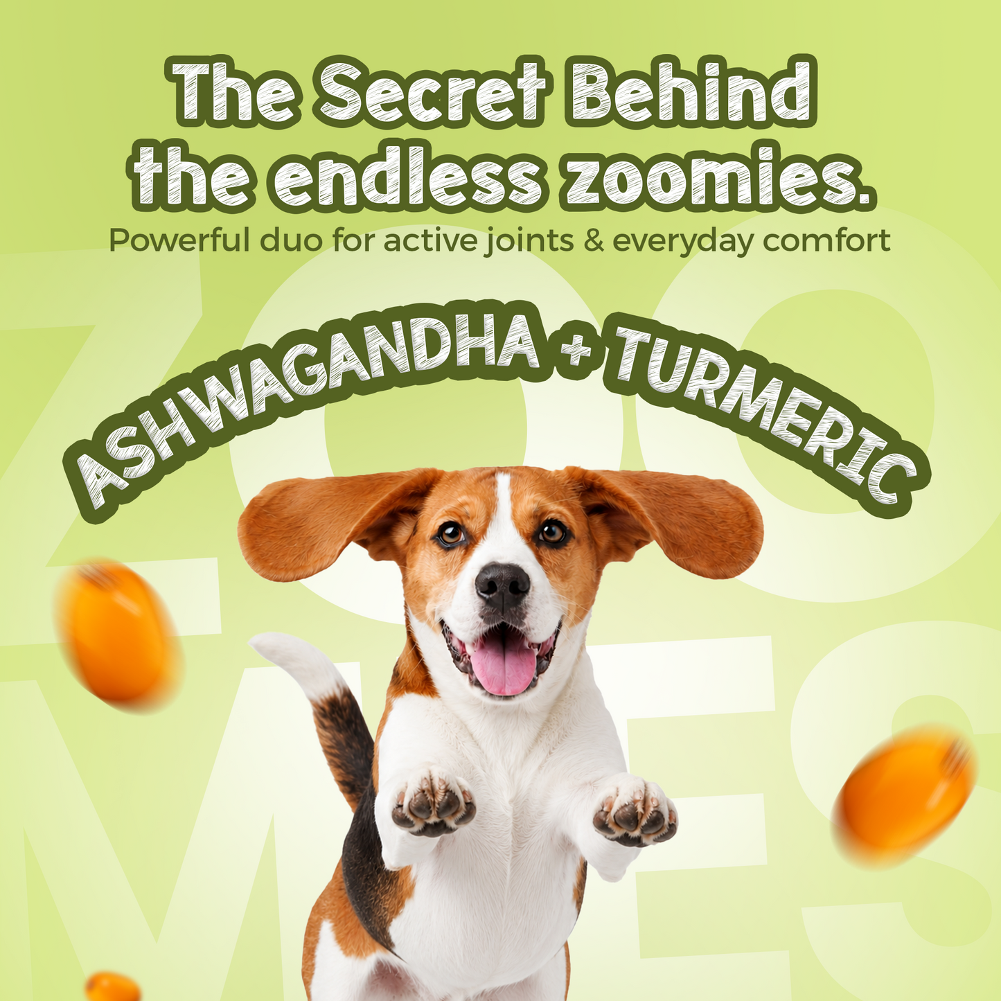 Jumpies+ Functional Treats – Hip & Joint Support Treats for Dogs