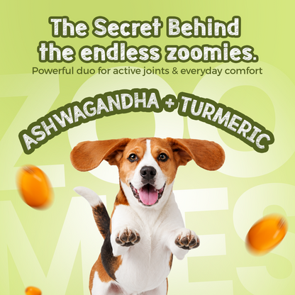 Jumpies+ Functional Treats – Hip & Joint Support Treats for Dogs