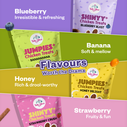 Jumpies+ Functional Treats – Hip & Joint Support Treats for Dogs