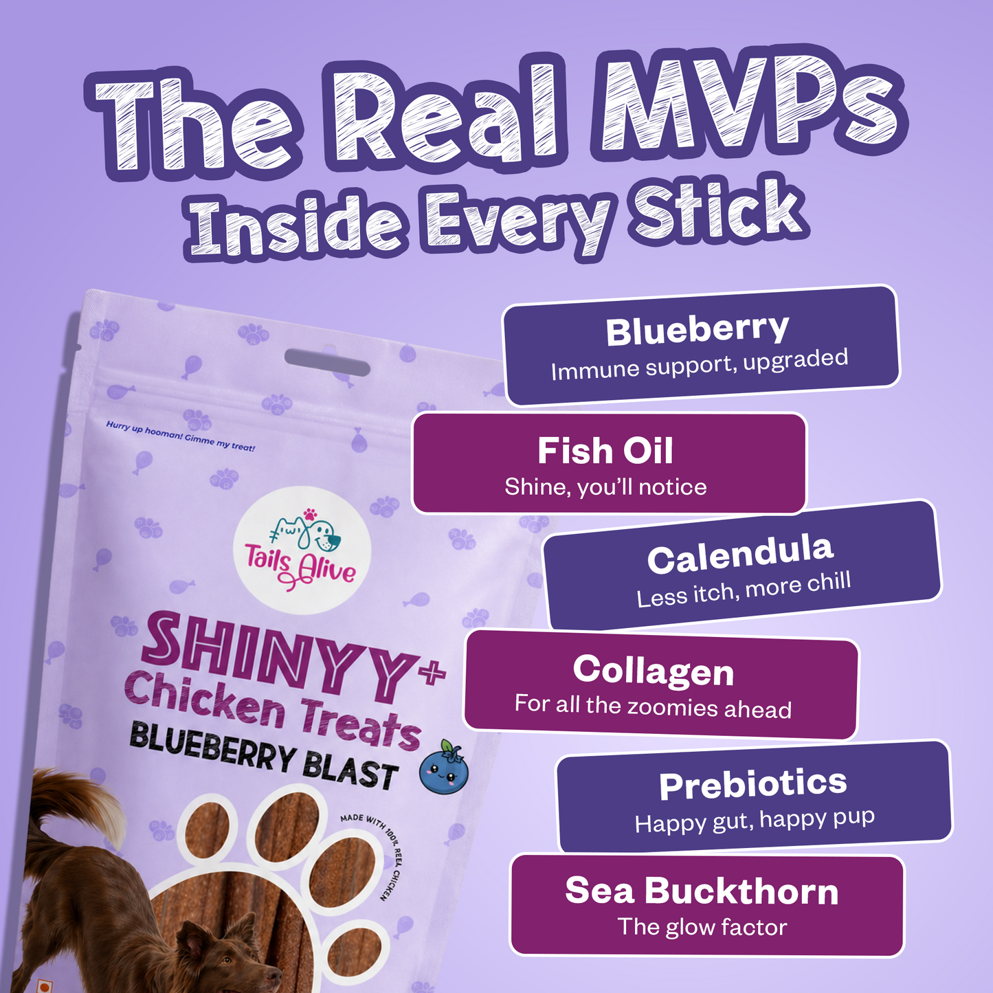 Shinyy+ Functional Treats - Skin &amp; Coat Support Treats for Dogs