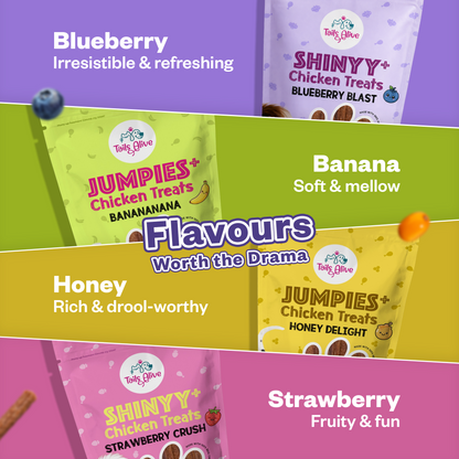 Shinyy+ Functional Treats - Skin &amp; Coat Support Treats for Dogs